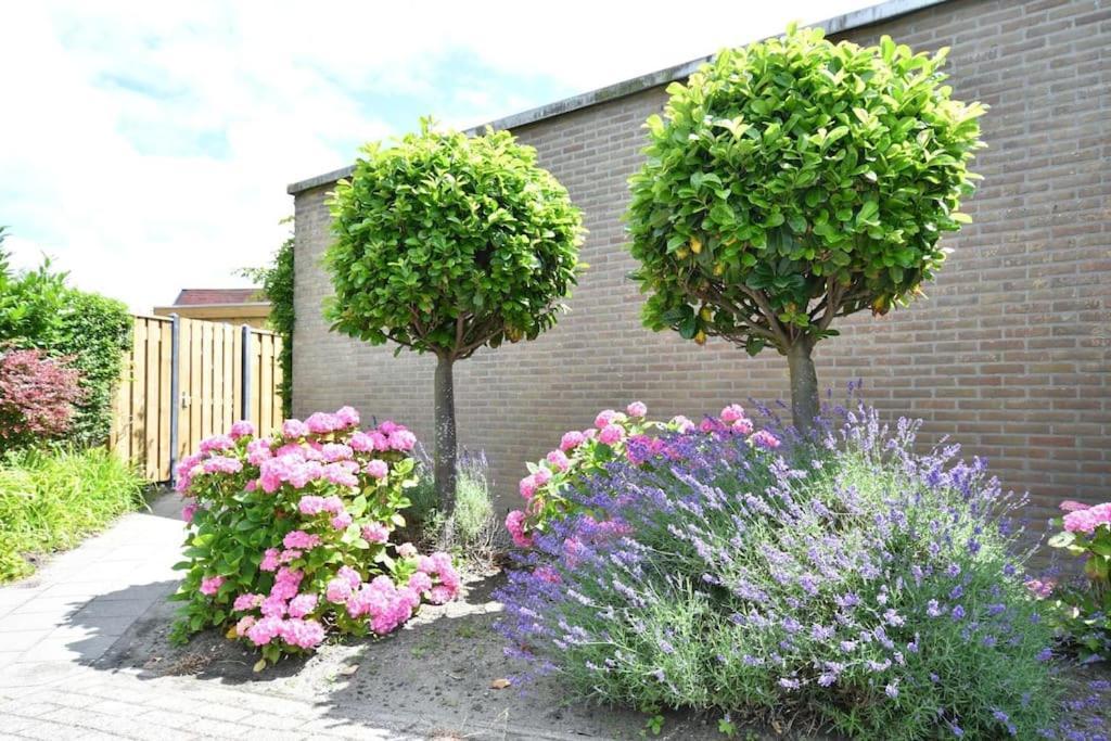 Vrijvakantiehuis Houtenburgseweg 2 เซาเตอลองเดอ ภายนอก รูปภาพ